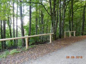 Postavitev lesene ograje nad Zajčjim studenčkom v Dolgi vasi